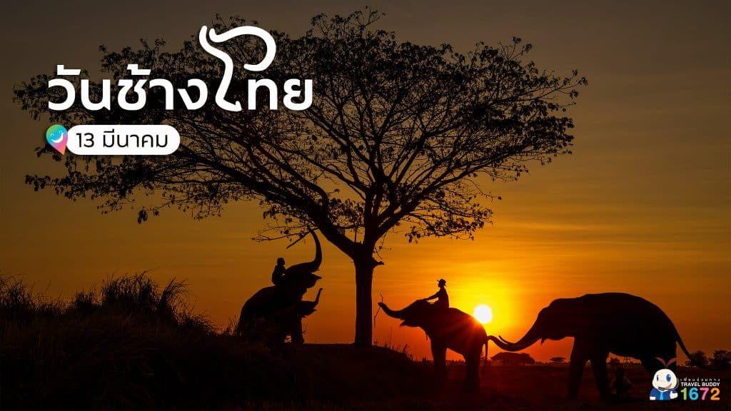 🐘13 มีนาคม วันช้างไทย 🐘