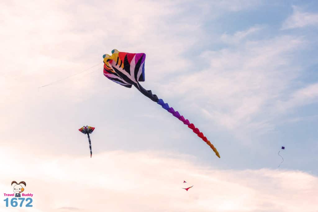 ที่เที่ยวพัทลุง