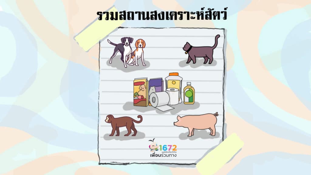 ✨ รวมสถานสงเคราะห์สัตว์ ✨