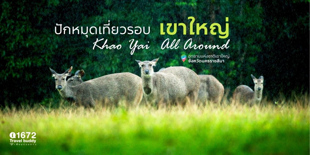 ปักหมุดเที่ยวรอบ ‘เขาใหญ่’ จังหวัดนครราชสีมา