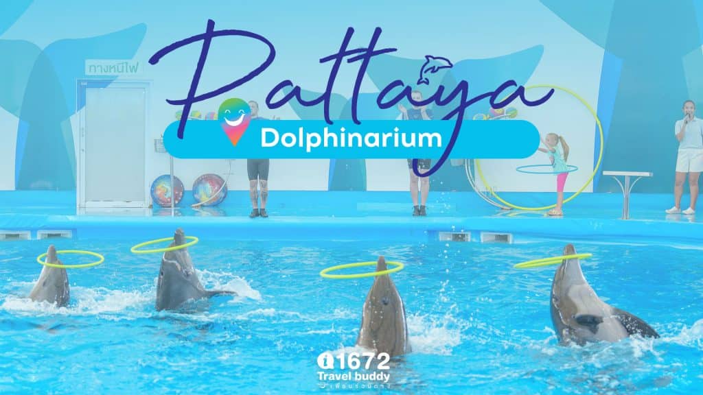ชวนพาลูก ๆ ไปเที่ยว “Pattaya Dolphinarium”