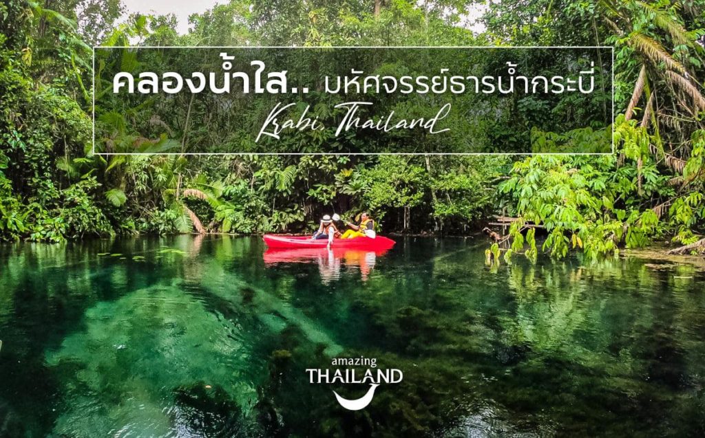 ☘️ คลองน้ำใส … มหัศจรรย์ธารน้ำกระบี่ ☘️