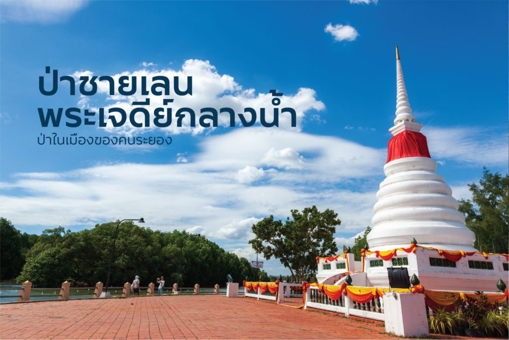 ป่าชายเลนพระเจดีย์กลางน้ำ จ. ระยอง