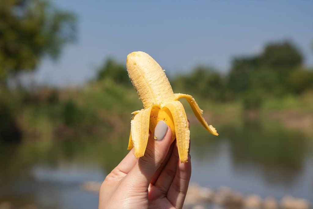 🍌กำแพงเพชร…เมืองกล้วยไข่🍌