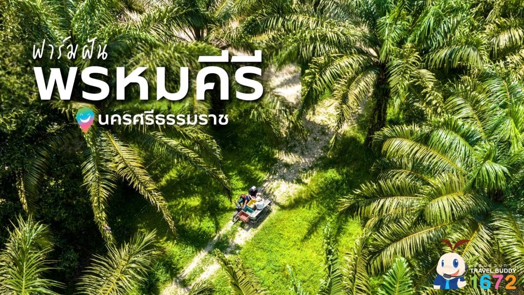 ✨ ฟาร์มฝันพรหมคีรี นครศรีธรรมราช ✨