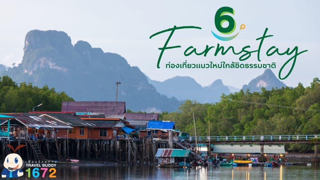 มัดรวมฟาร์มสเตย์ 🐓ท่องเที่ยวแนวใหม่ใกล้ชิดธรรมชาติ 🏨