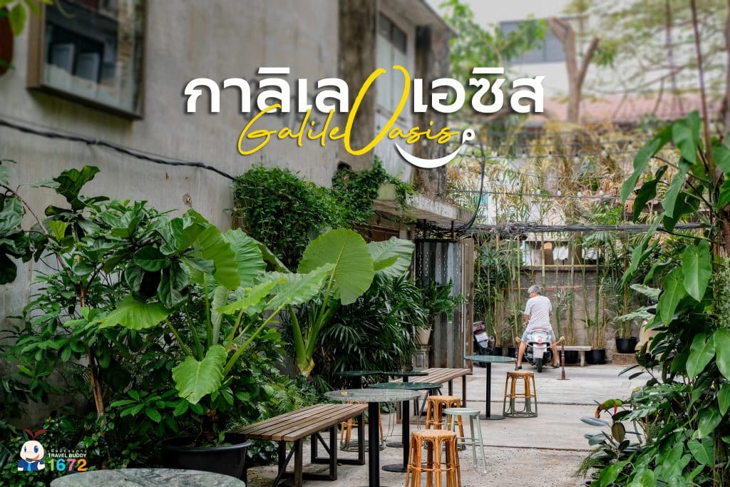 🌿 กาลิเลโอเอซิส : GalileOasis 🌿