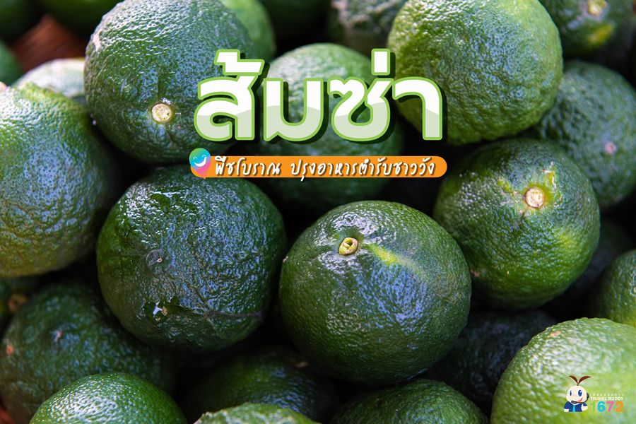 ✨ ส้มซ่า พืชโบราณ ปรุงอาหารตำรับชาววัง 🍲