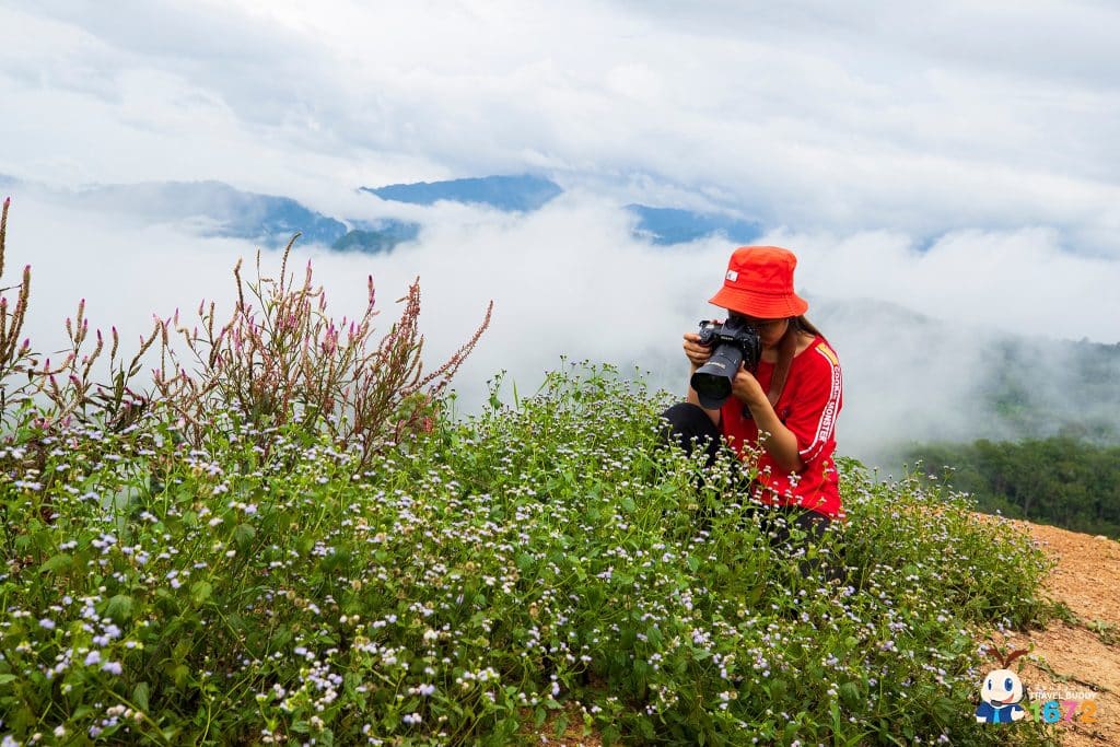 ที่เที่ยวนครศรีธรรมราช