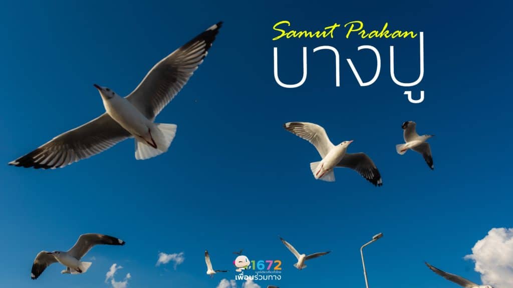 🐦ดูนก ณ บางปู🌿