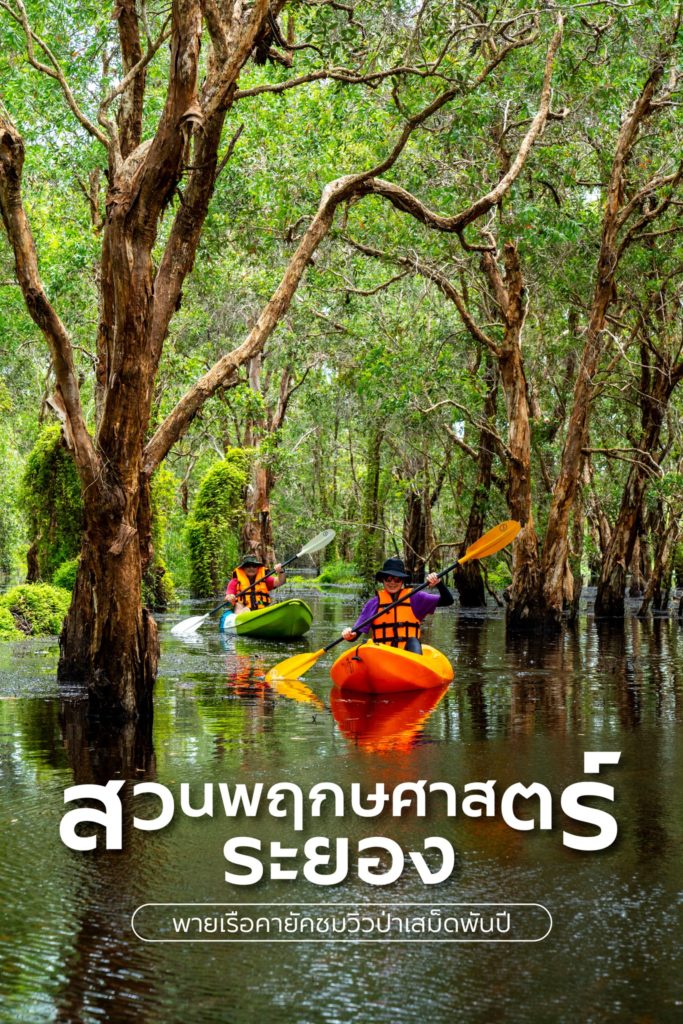 🛶 #สวนพฤกษศาสตร์ระยอง กิจกรรมเพียบ!! 🌱