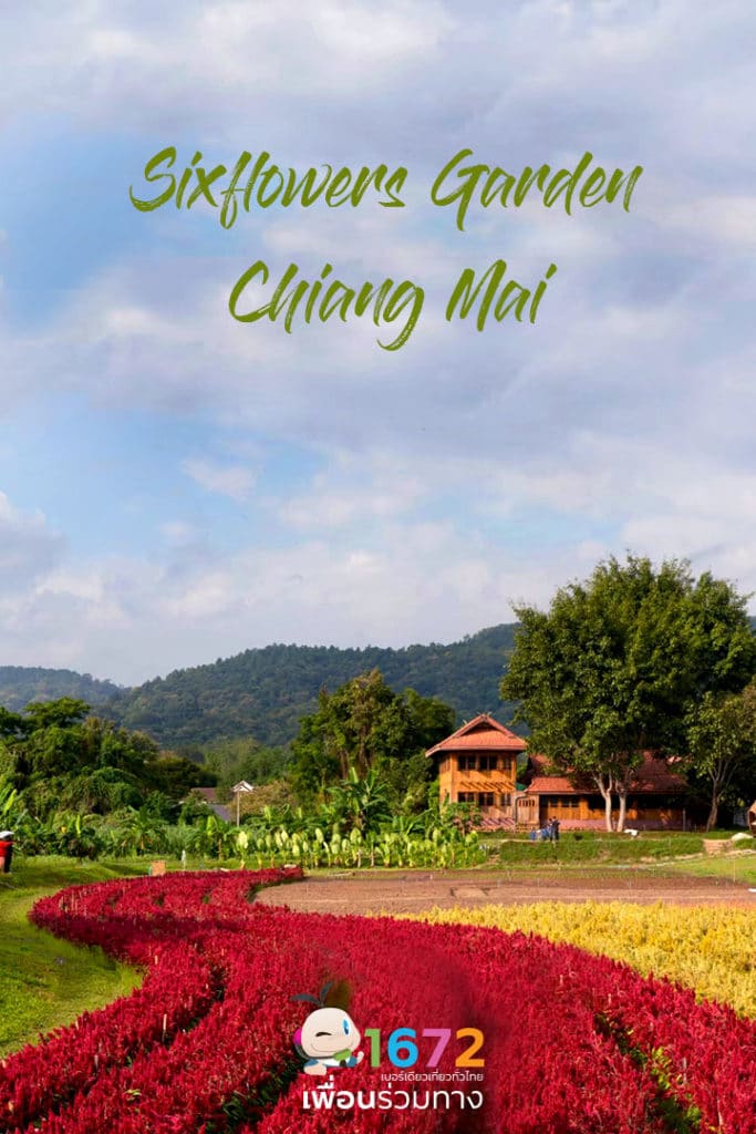 💐 Sixflowers Garden อ.แม่ริม จ.เชียงใหม่ 💐