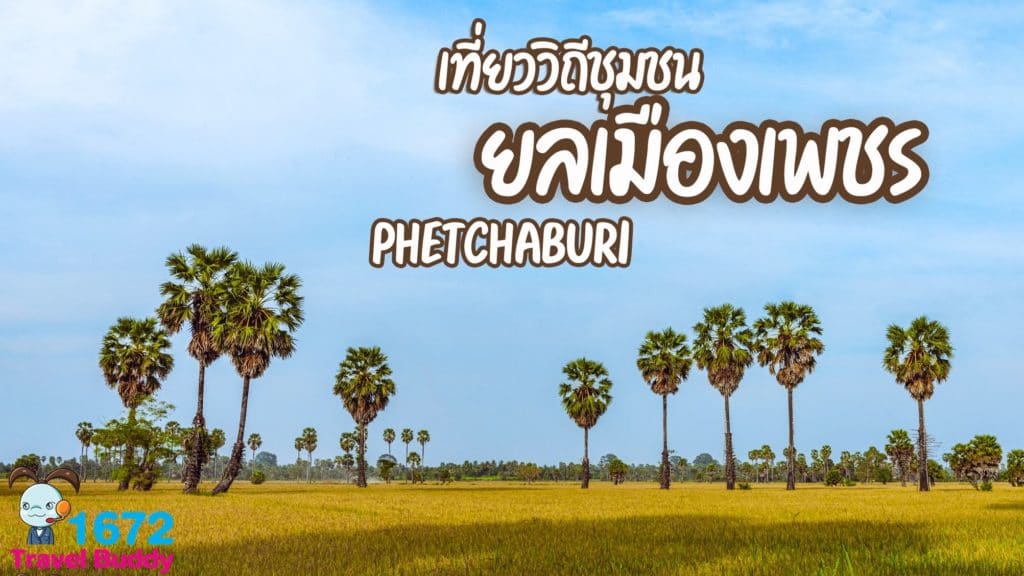 ✨ เที่ยววิถีชุมชน ยลเมืองเพชร ✨