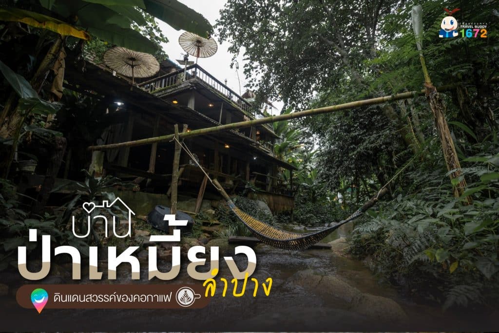 บ้านป่าเหมี้ยง สัมผัสวิถีชีวิตชุมชน จ. ลำปาง ☕💚