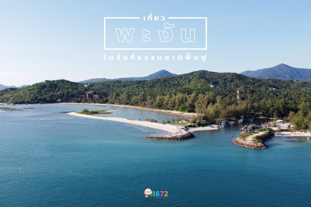 ✨ เที่ยว “พะงัน” ในวันที่ธรรมชาติฟื้นฟู  ✨