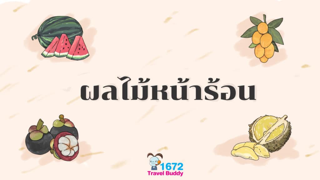 ✨ ผลไม้ช่วงหน้าร้อน ✨