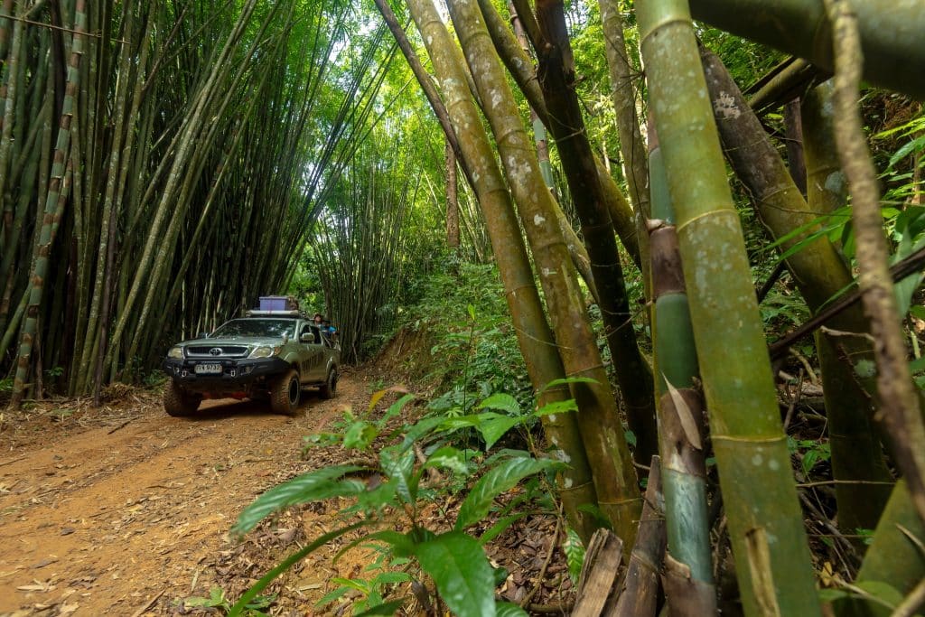 🏔🌌ภูตาจอ … หลังคาพังงา🌌🏔