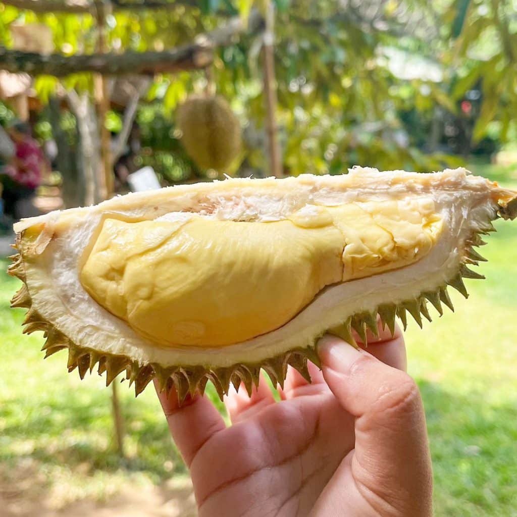 ที่เที่ยวอุตรดิตถ์