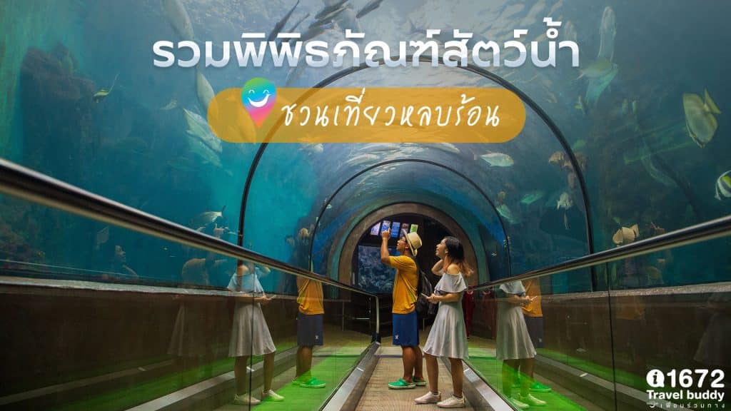รวมพิพิธภัณฑ์สัตว์น้ำ ชวนเที่ยวหลบร้อน