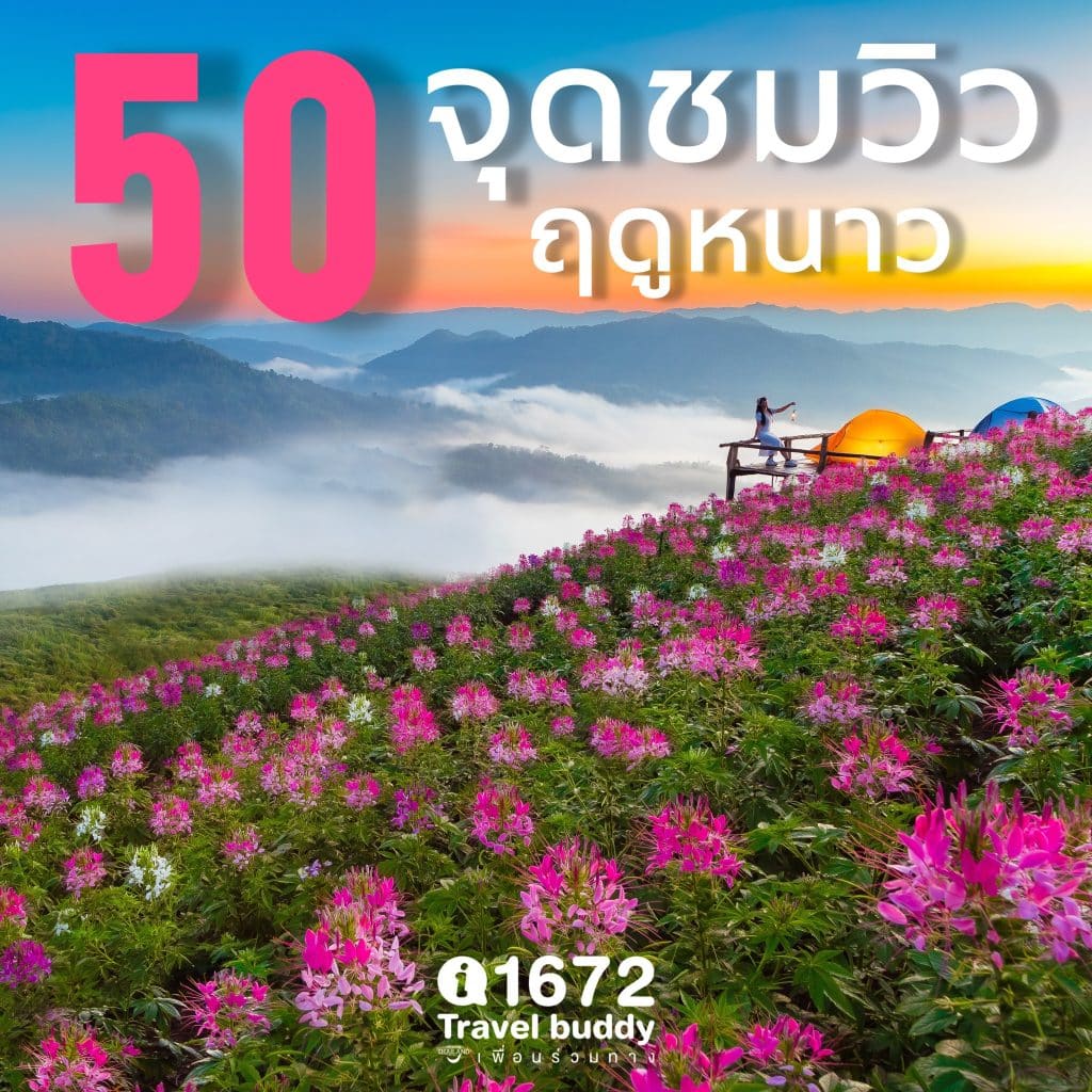 ปักหมุด 50 จุดชมวิวฤดูหนาว