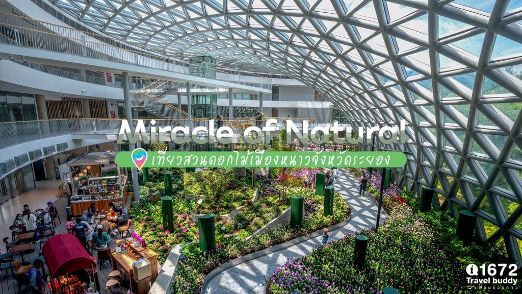 Miracle of Natural ชวนเที่ยวสวนไม้เมืองหนาว จังหวัดระยอง