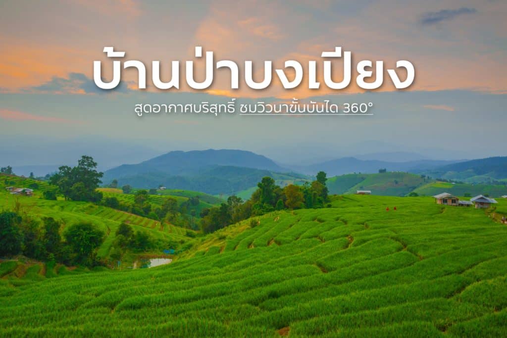 🌳 ป่าบงเปียง จ.เชียงใหม่ 🌳