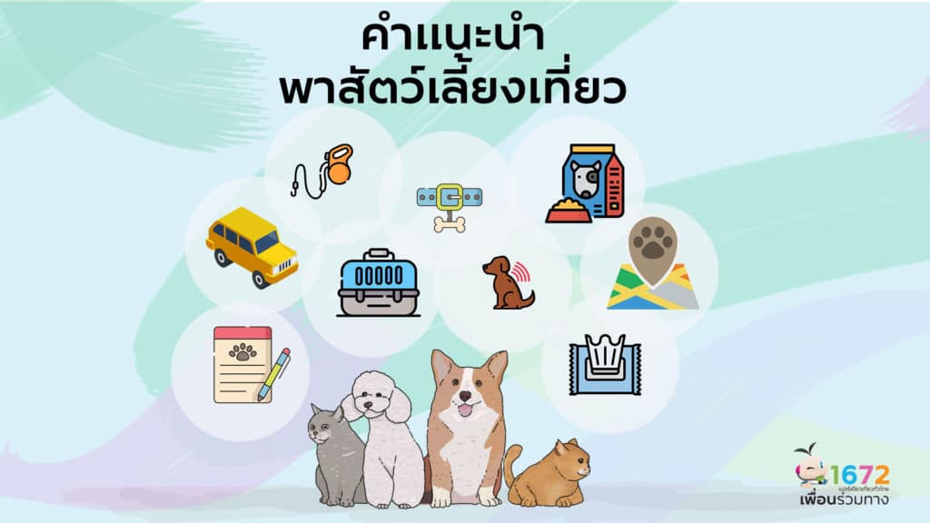 ✨ คำแนะนำพาสัตว์เลี้ยงเที่ยว ✨