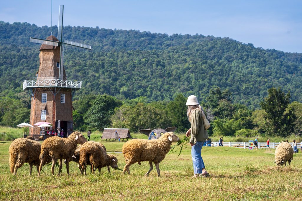 ที่เที่ยวเชียงใหม่