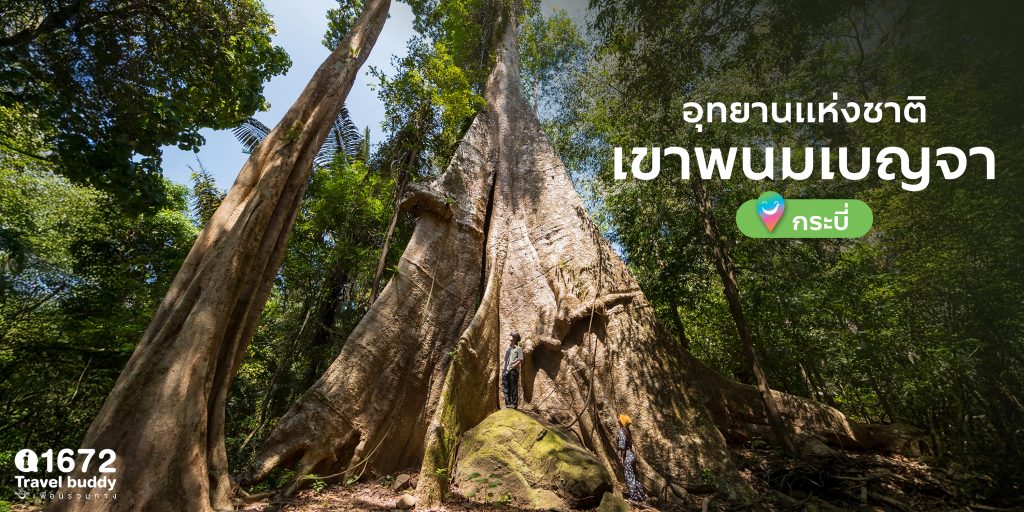 ชวนเที่ยว ‘อุทยานแห่งชาติเขาพนมเบญจา’ จังหวัดกระบี่