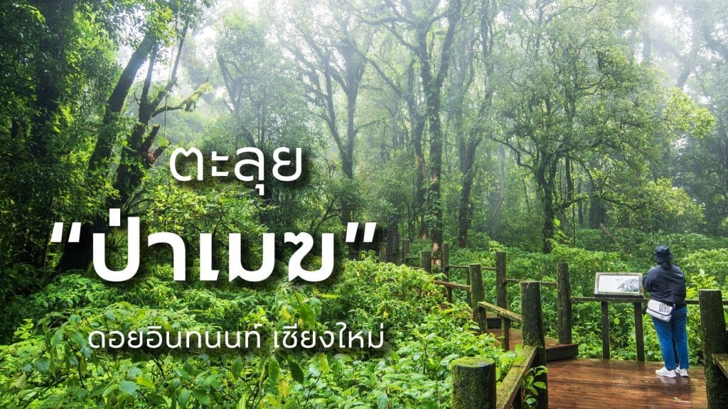 🌦ตะลุย “ป่าเมฆ” ดอยอินทนนท์ จังหวัดเชียงใหม่🌦