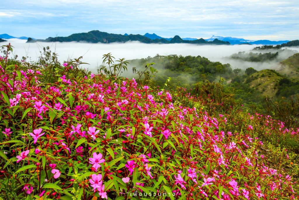 ที่เที่ยวตาก