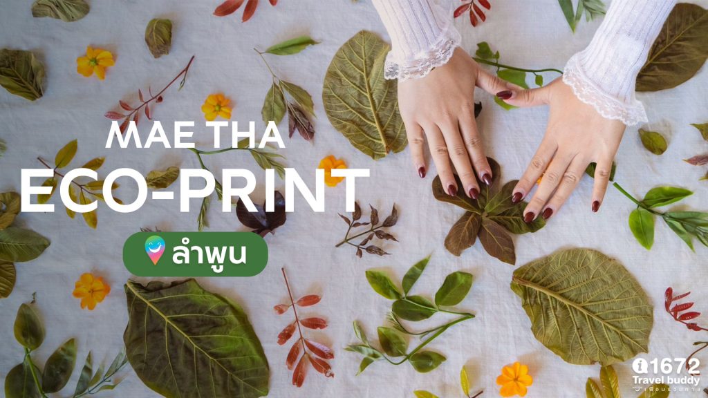 MAE THA ECO-PRINT ลำพูน ผ้าพิมพ์ลายธรรมชาติ จากใบไม้ในป่า สู่ผืนผ้าสร้างสรรค์