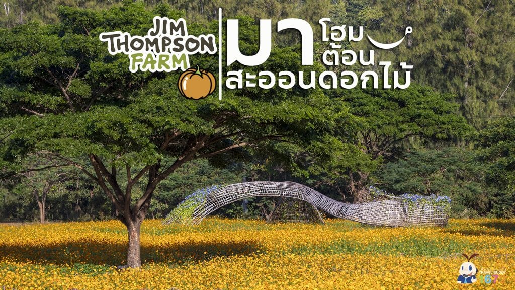 🌼 มาโฮมมาต้อน สะออนดอกไม้ ที่ “จิม ทอมป์สัน ฟาร์ม” จ.นครราชสีมา 🌼