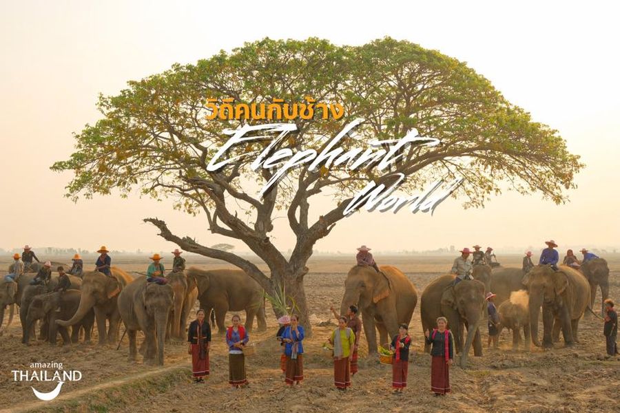 “ วิ ถี ค น กั บ ช้ า ง “ 🐘