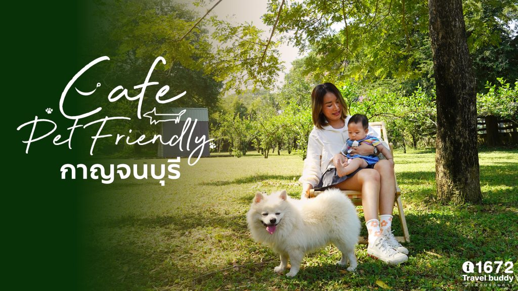 Café Pet Friendly กาญจนบุรี
