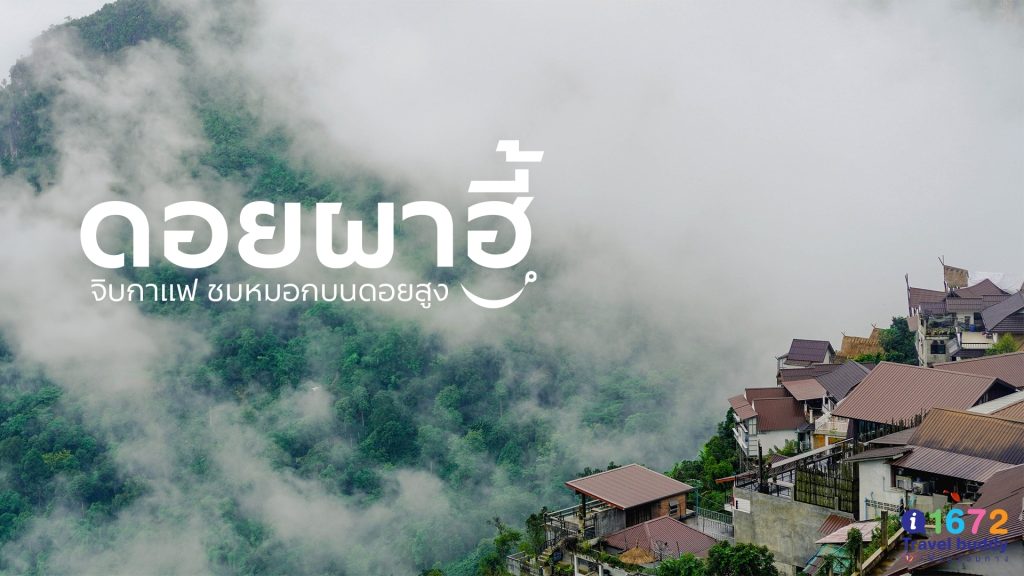 ชวนจิบกาแฟ ชมวิวหมอก ที่ ดอยผาฮี้ หรือหมู่บ้านผาฮี้ จ.เชียงราย