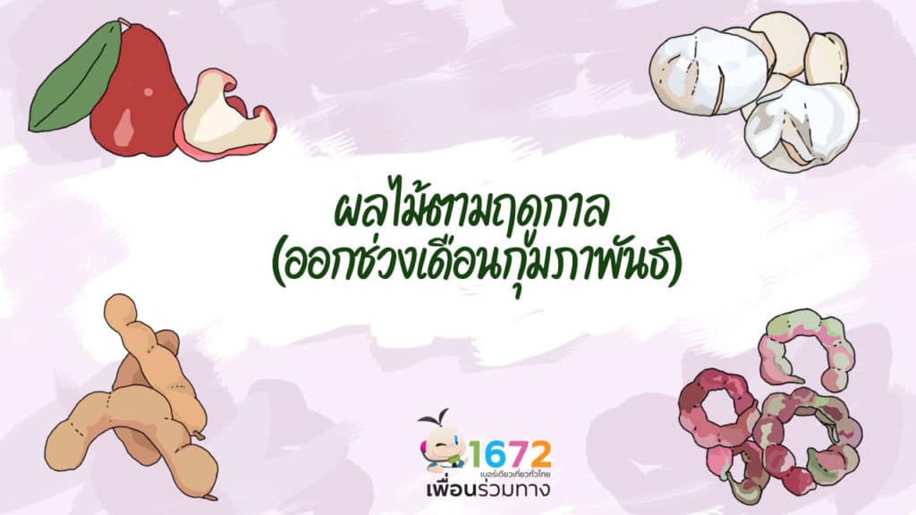 ผลไม้ตามฤดูกาล ที่ออกผลช่วงเดือนกุมภาพันธ์