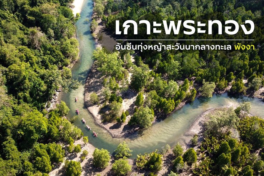 ✨ เกาะพระทอง อ.คุระบุรี จ.พังงา 🏝