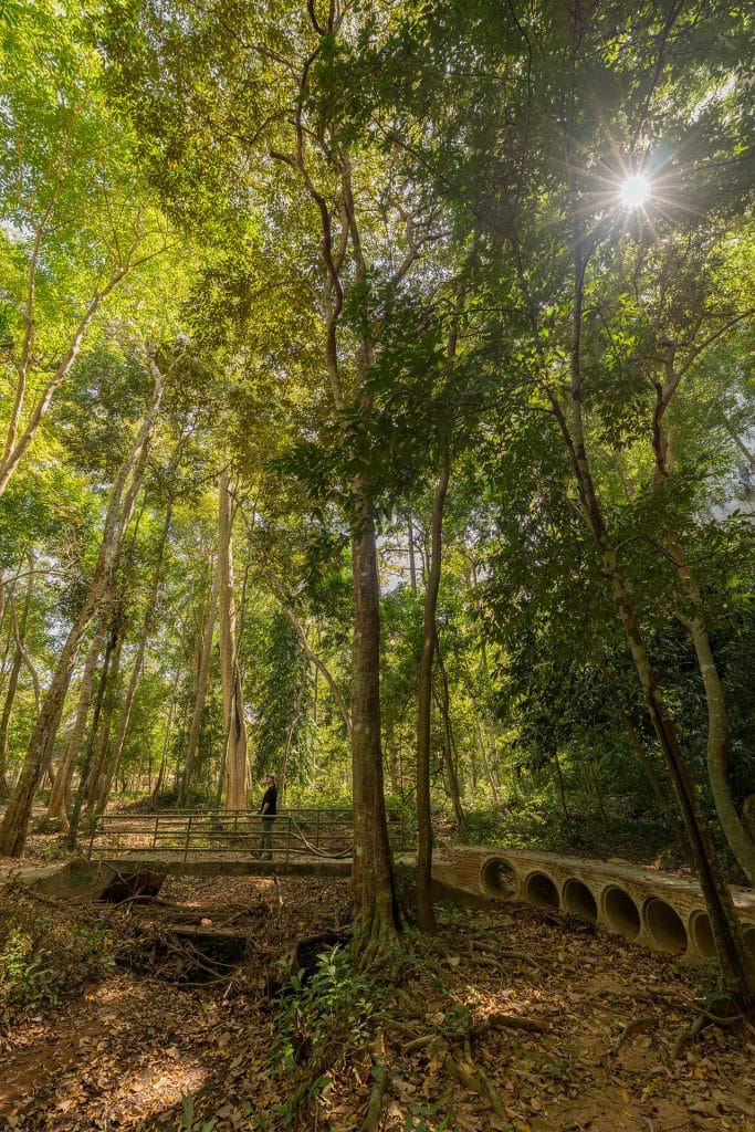 ที่เที่ยวชลบุรี