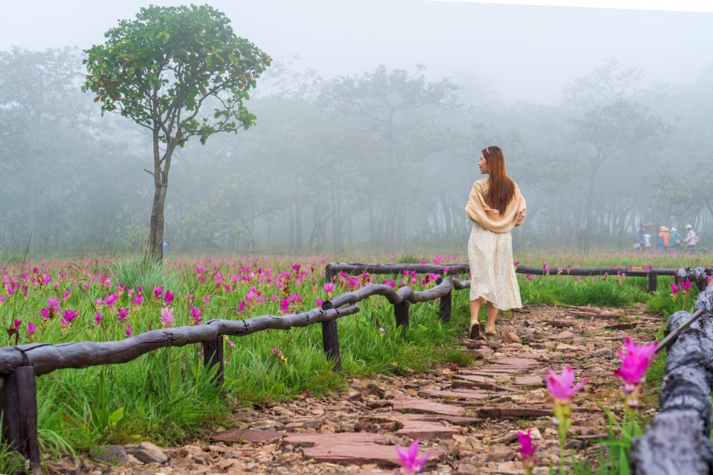 ที่เที่ยวชัยภูมิ