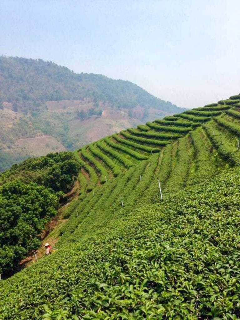 ที่เที่ยวน่าน