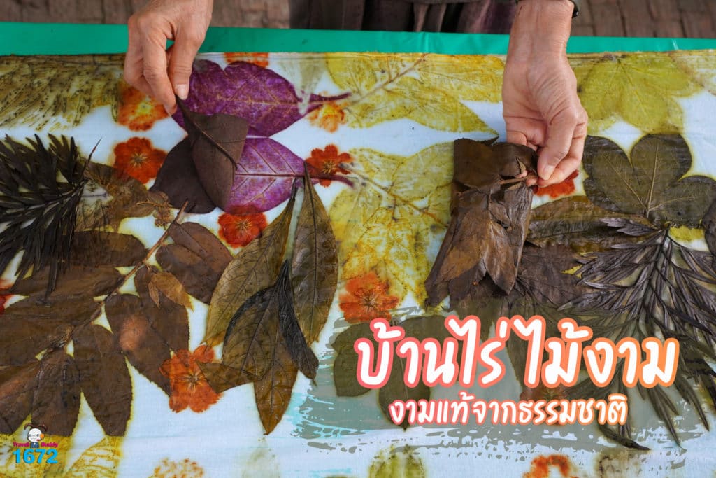 🌿 “บ้านไร่ไม้งาม” งามแท้จากธรรมชาติ 🌿