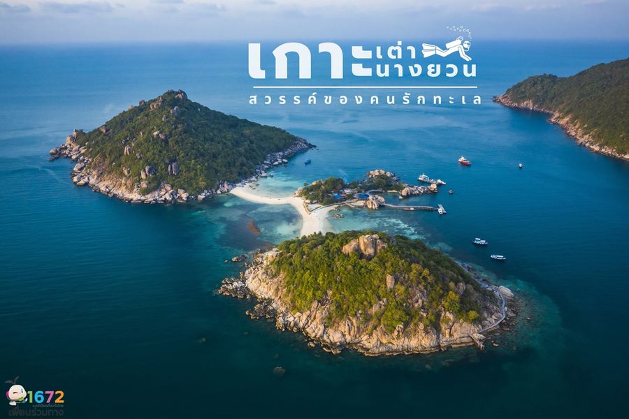 ✨ เกาะเต่า – เกาะนางยวน สวรรค์ของคนรักทะเล ✨